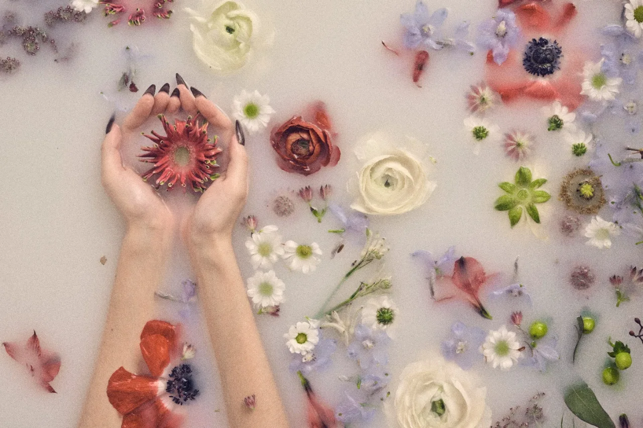 Hands holding a red flower above a milk bath scattered with flowers